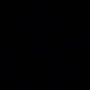 Meet your Posher, Conner